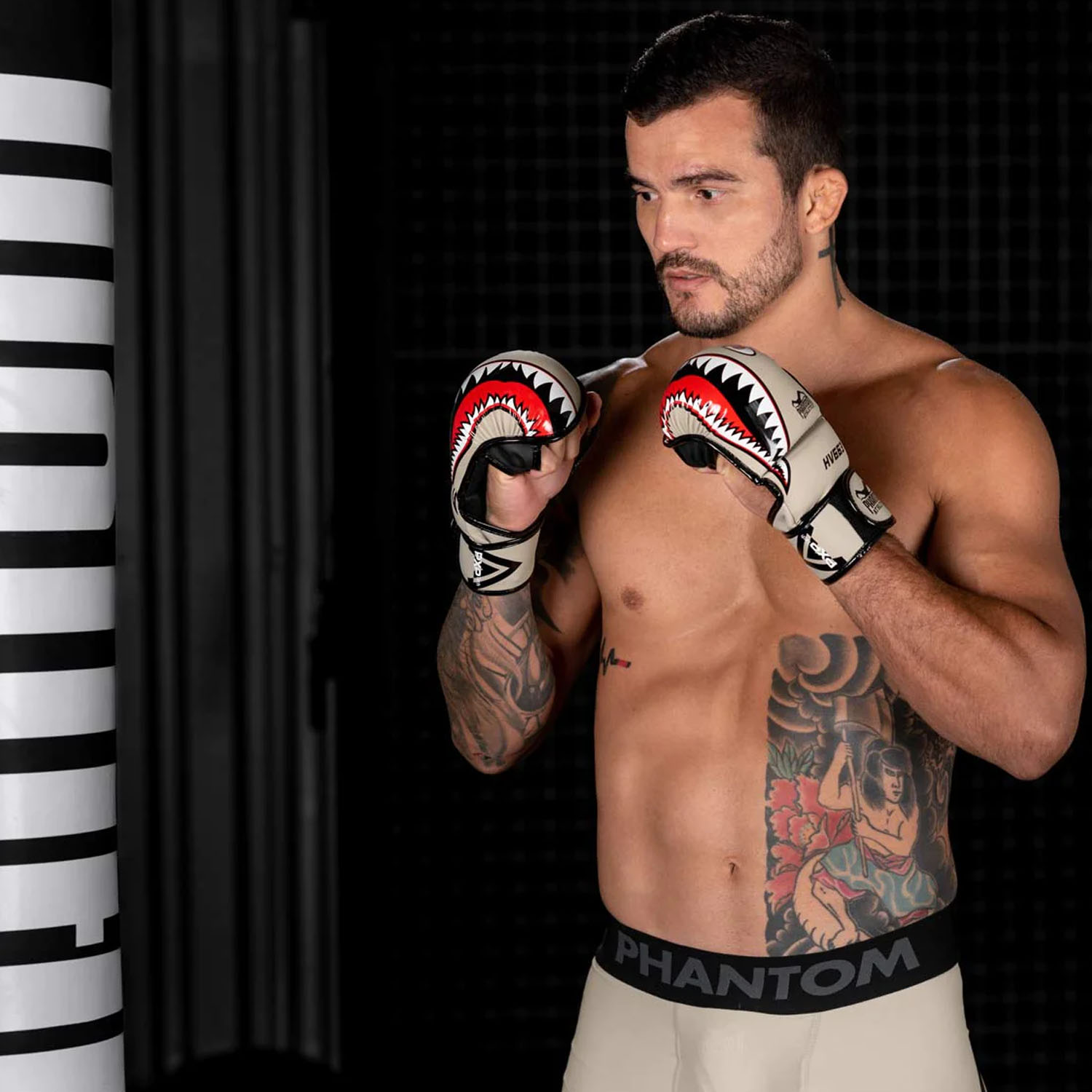 Phantom Athletics MMA Sparring Handschuhe, Fight Squad, sand, L/XL
