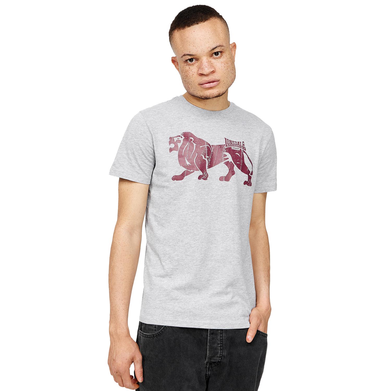 Lonsdale T-Shirt, Endmoor, grey, M