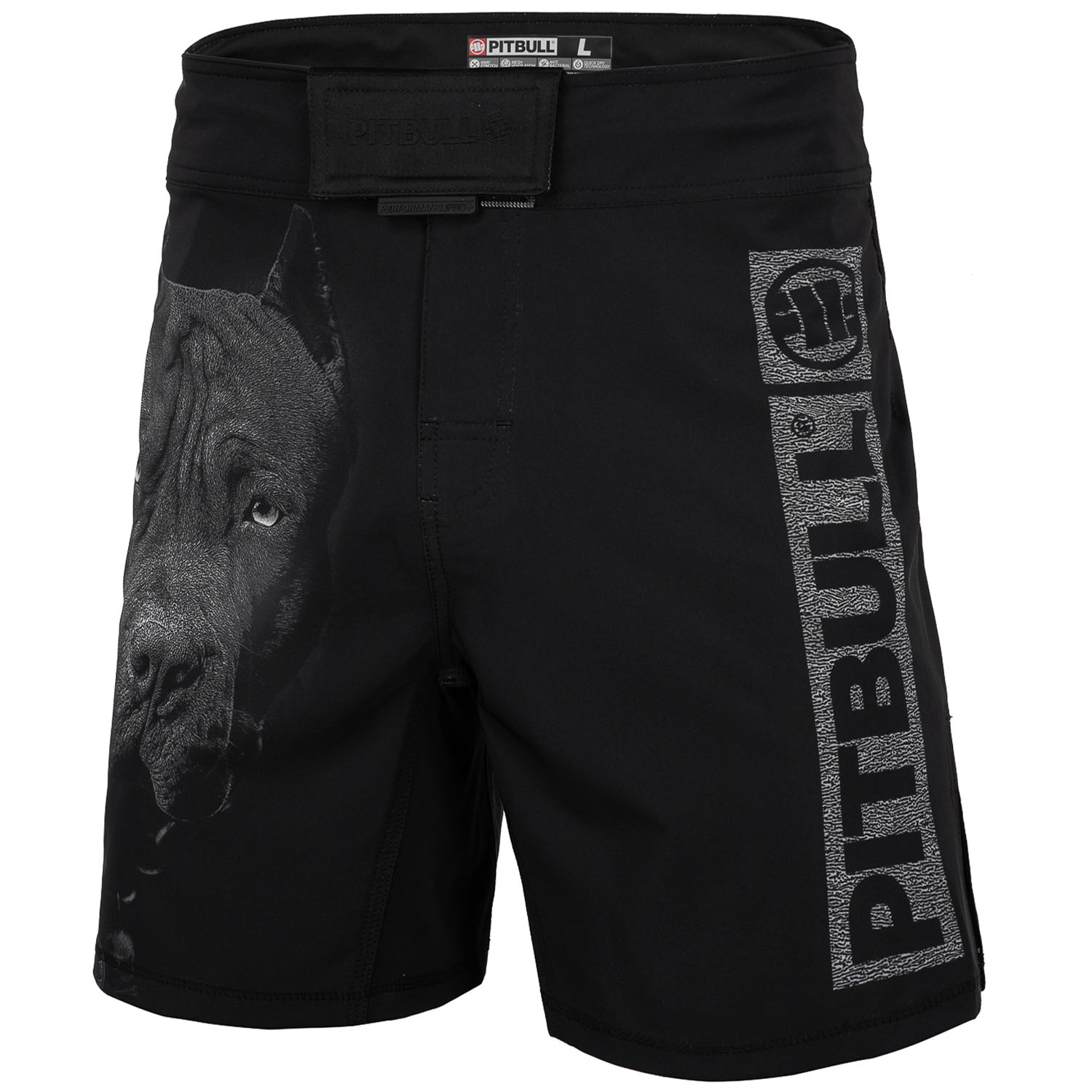Pit Bull West Coast MMA Fight Shorts, Born in 1989, XXL