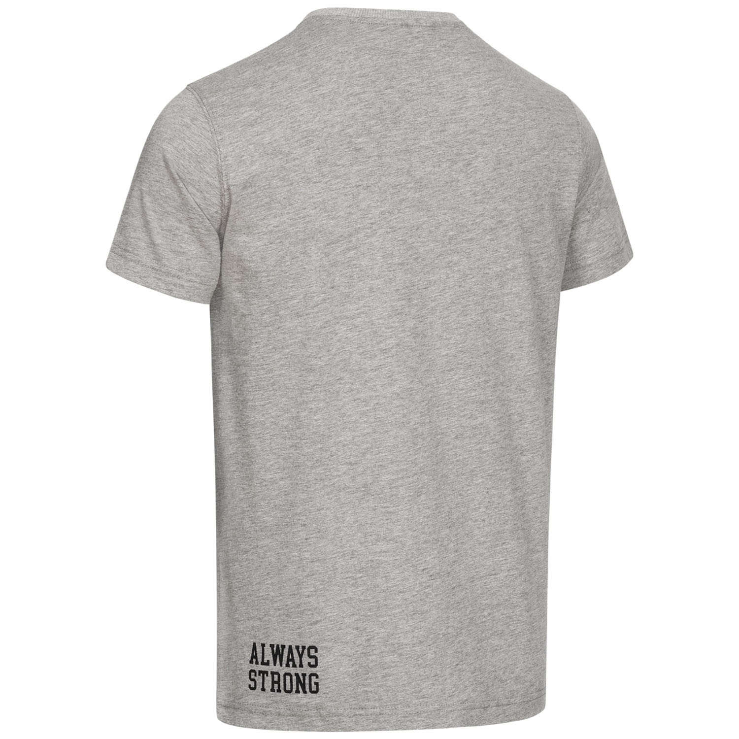 BENLEE T-Shirt, Donley, grey, XXL