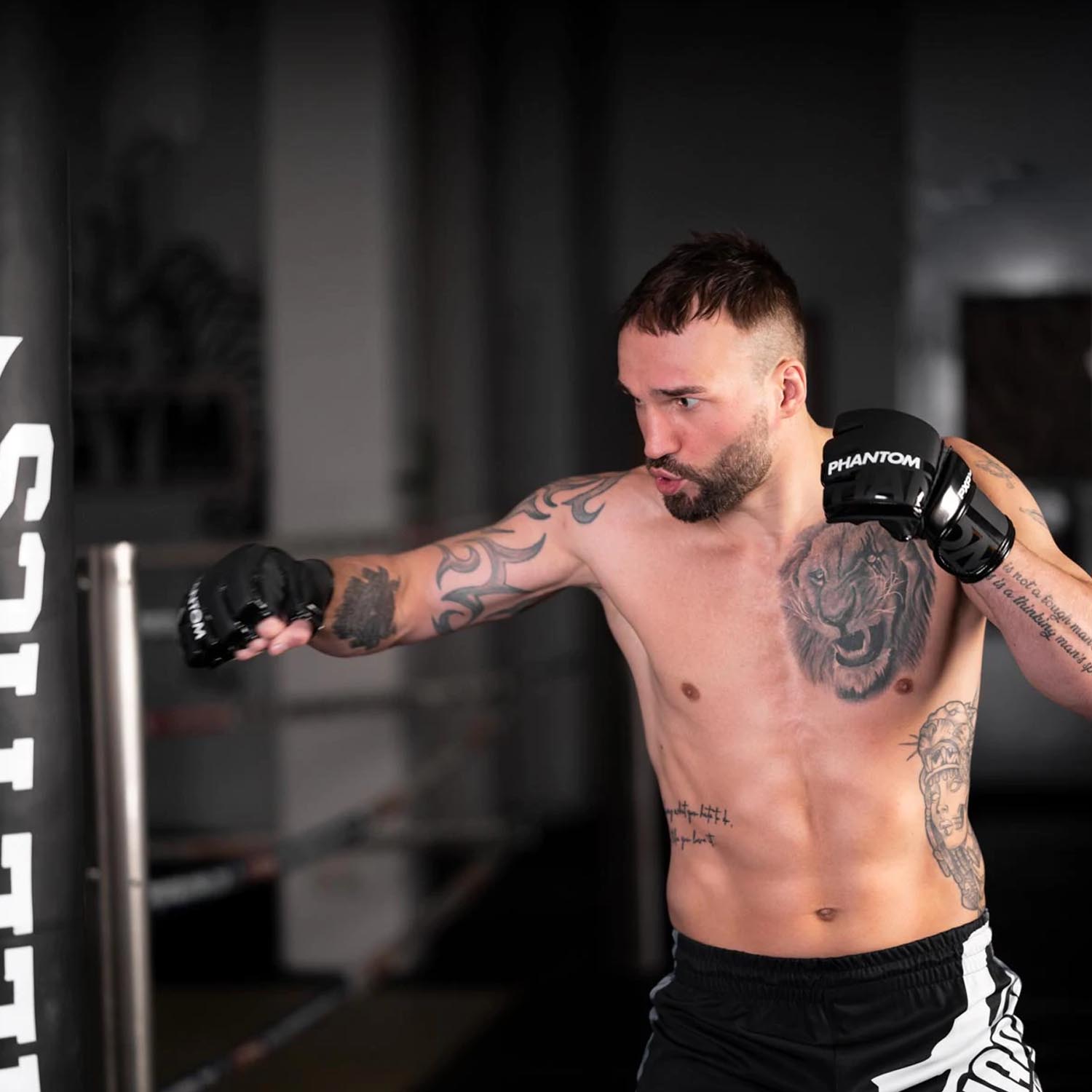 Phantom Athletics MMA Handschuhe, Apex, Hybrid, L/XL
