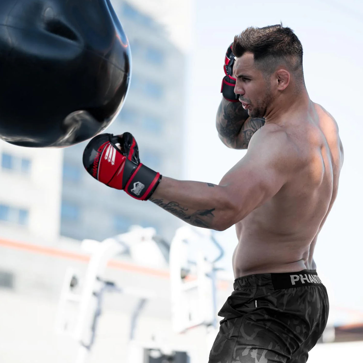 Phantom Athletics MMA Sparring Handschuhe, Raider, L/XL