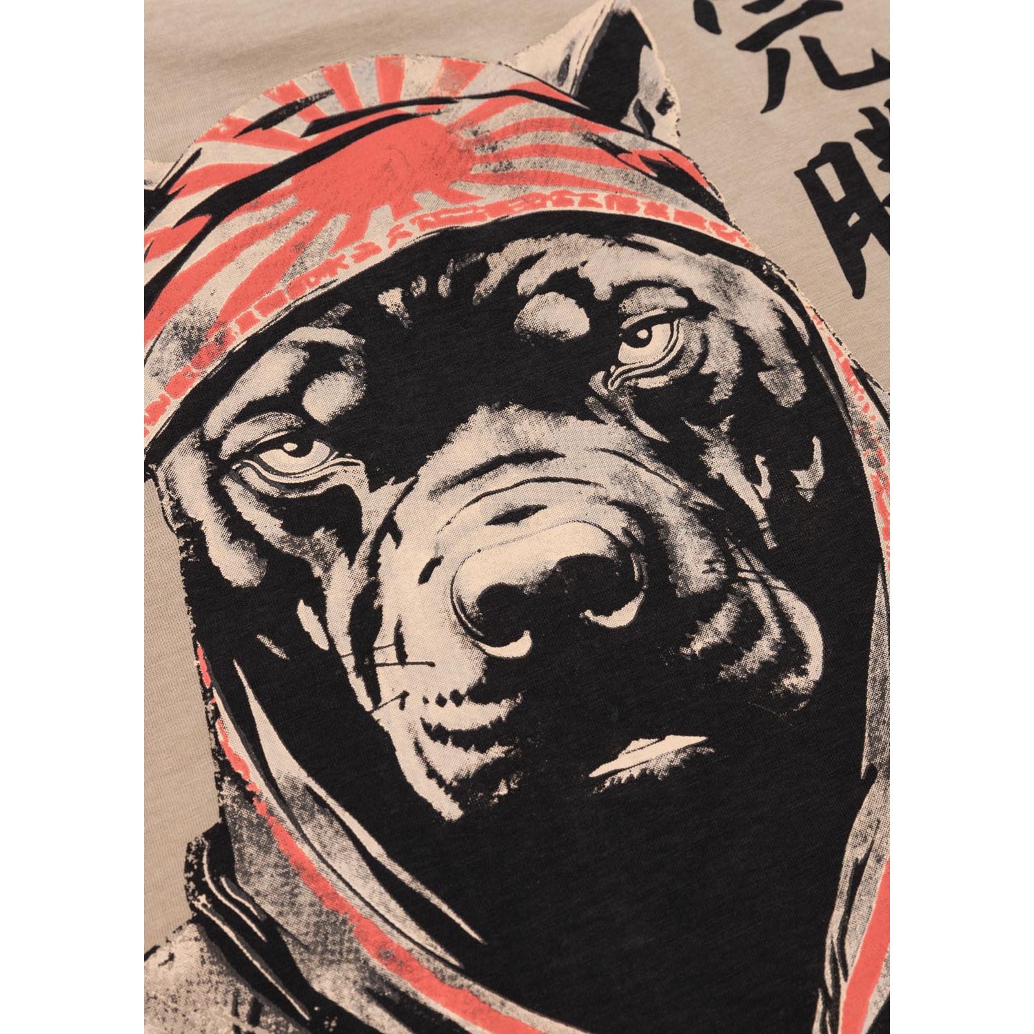 Pit Bull West Coast T-Shirt, Bravery, brown, XXXL