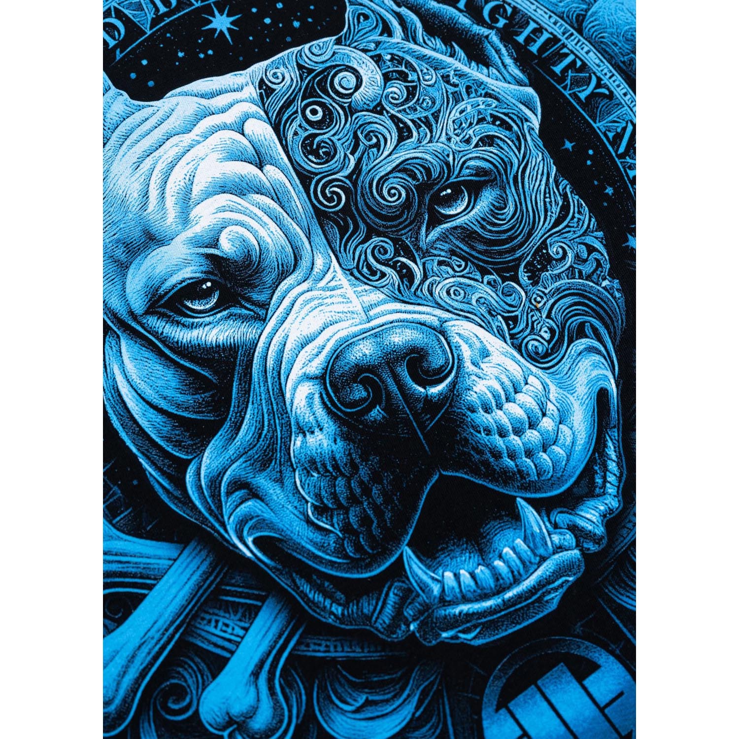 Pit Bull West Coast T-Shirt, World, black-blue, XXXL