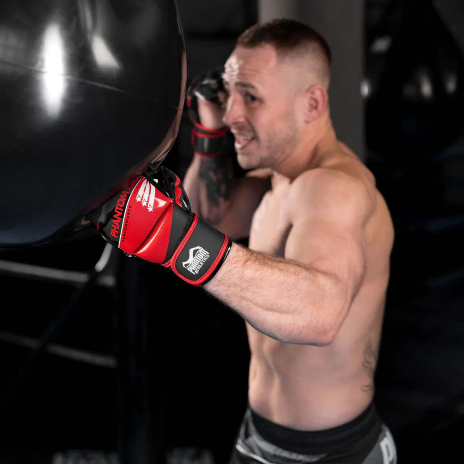 Phantom Athletics MMA Sparring Gloves, Raider, S/M