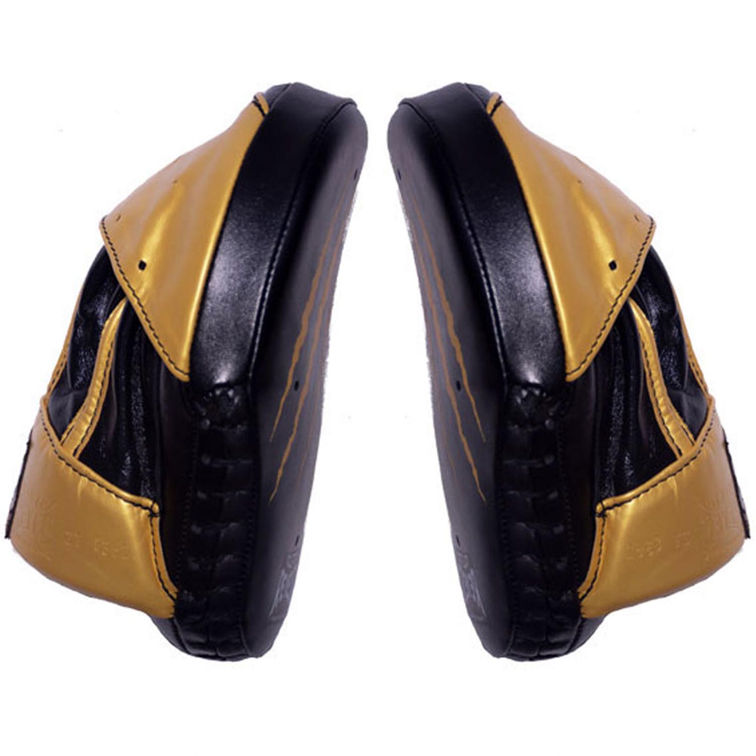 Cleto Reyes Focus Mitts, High Performance, black-gold