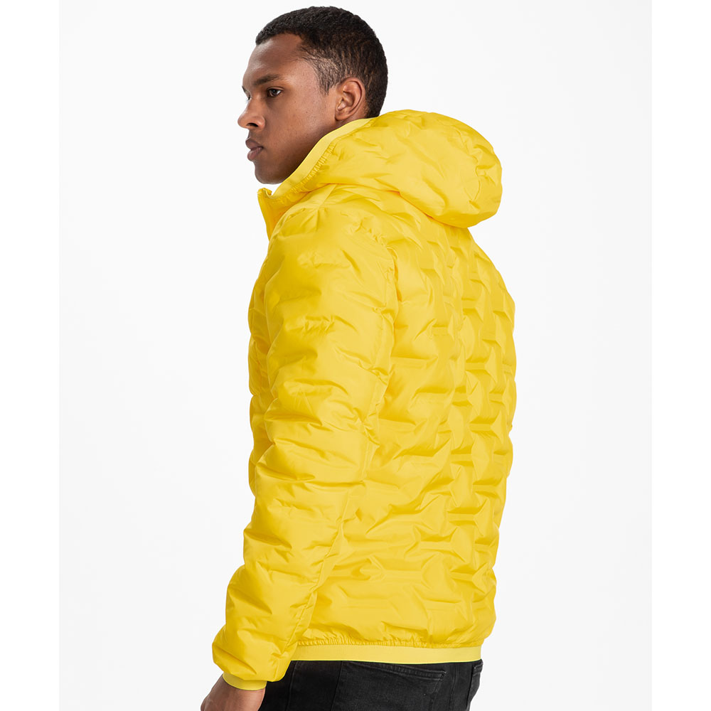 Pit Bull West Coast Jacket, Firestone, yellow, L