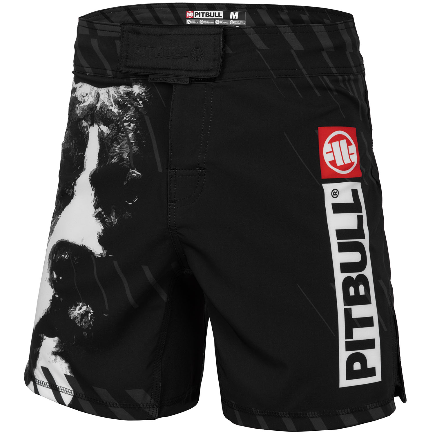 Pit Bull West Coast MMA Fight Shorts, Street Dog, schwarz, S