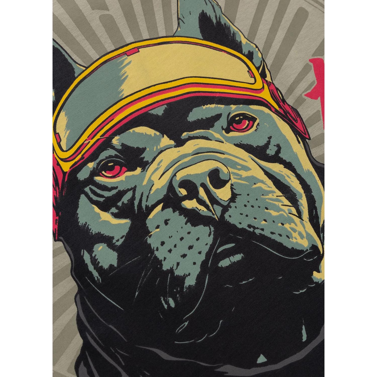 Pit Bull West Coast, T-Shirt, Mt. Fuji, beige, XXXL