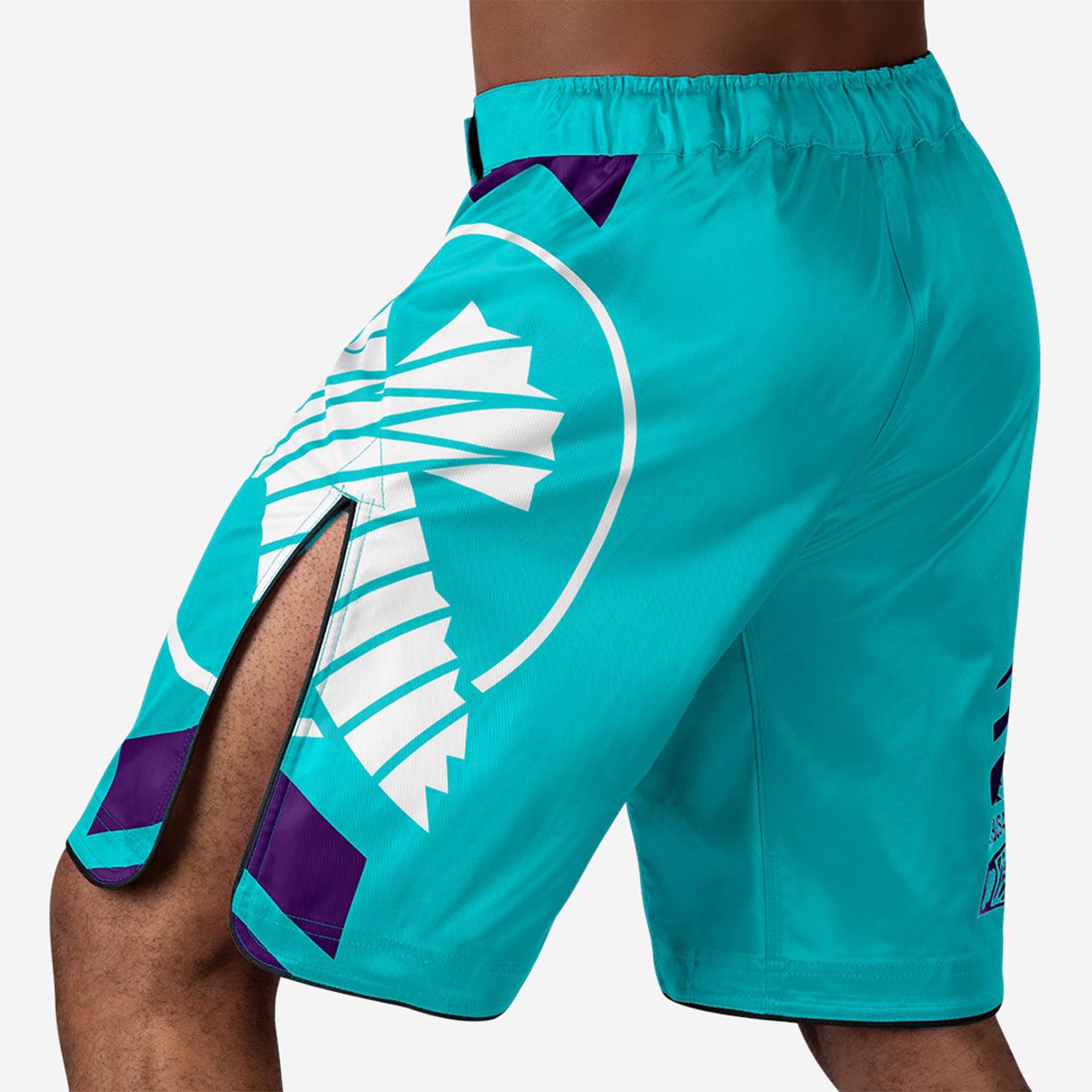 Hayabusa MMA Fight Shorts, Icon, türkis-lila, XXL