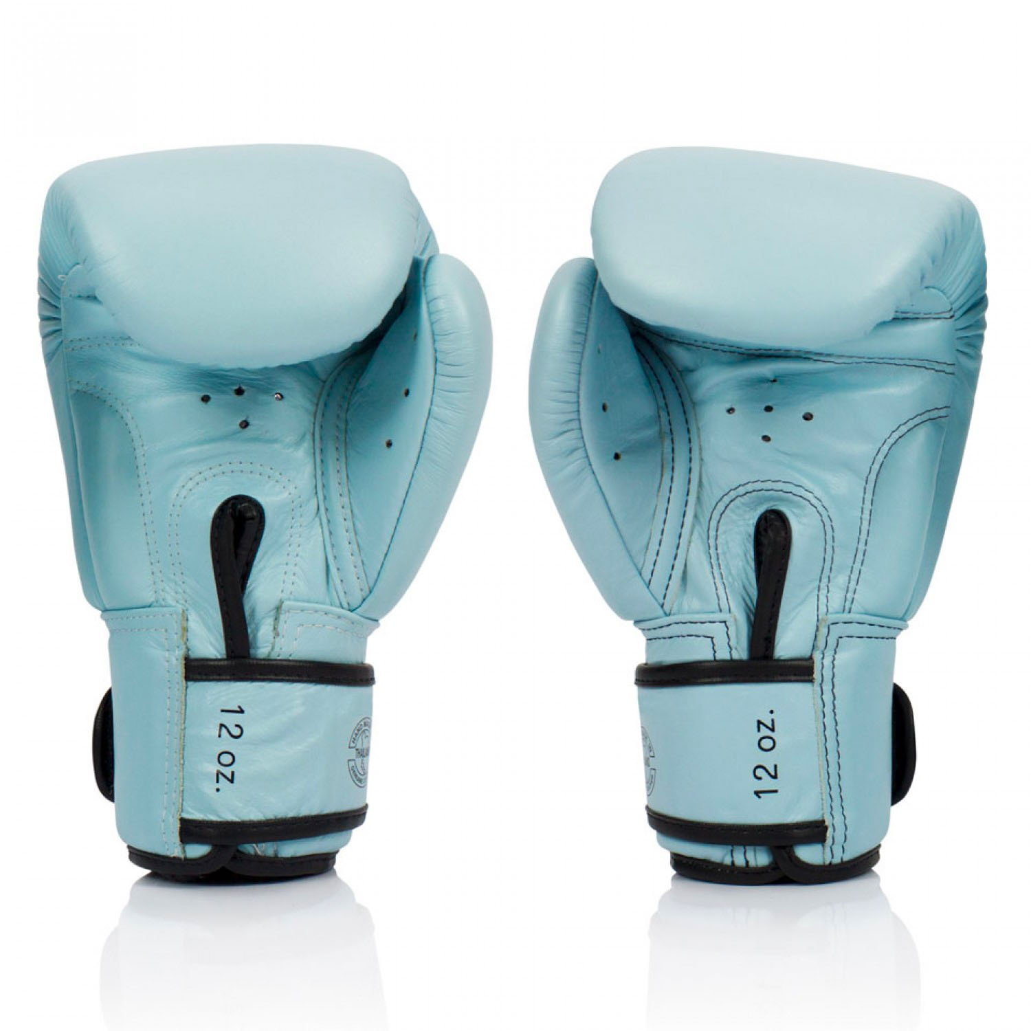 Fairtex Boxing Gloves, BGV20, light blue, 10 Oz