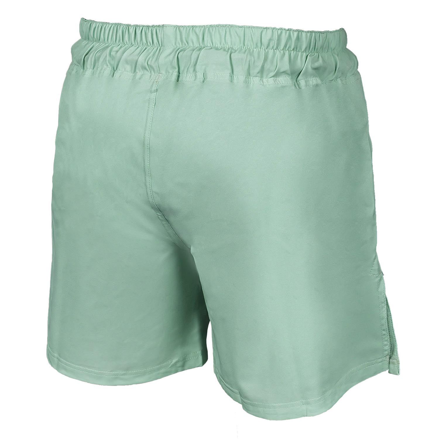 OKAMI MMA Fight Shorts, Logo, mint, XXL