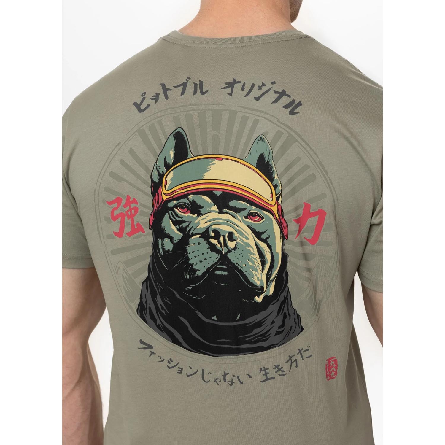 Pit Bull West Coast, T-Shirt, Mt. Fuji, beige, XXXL