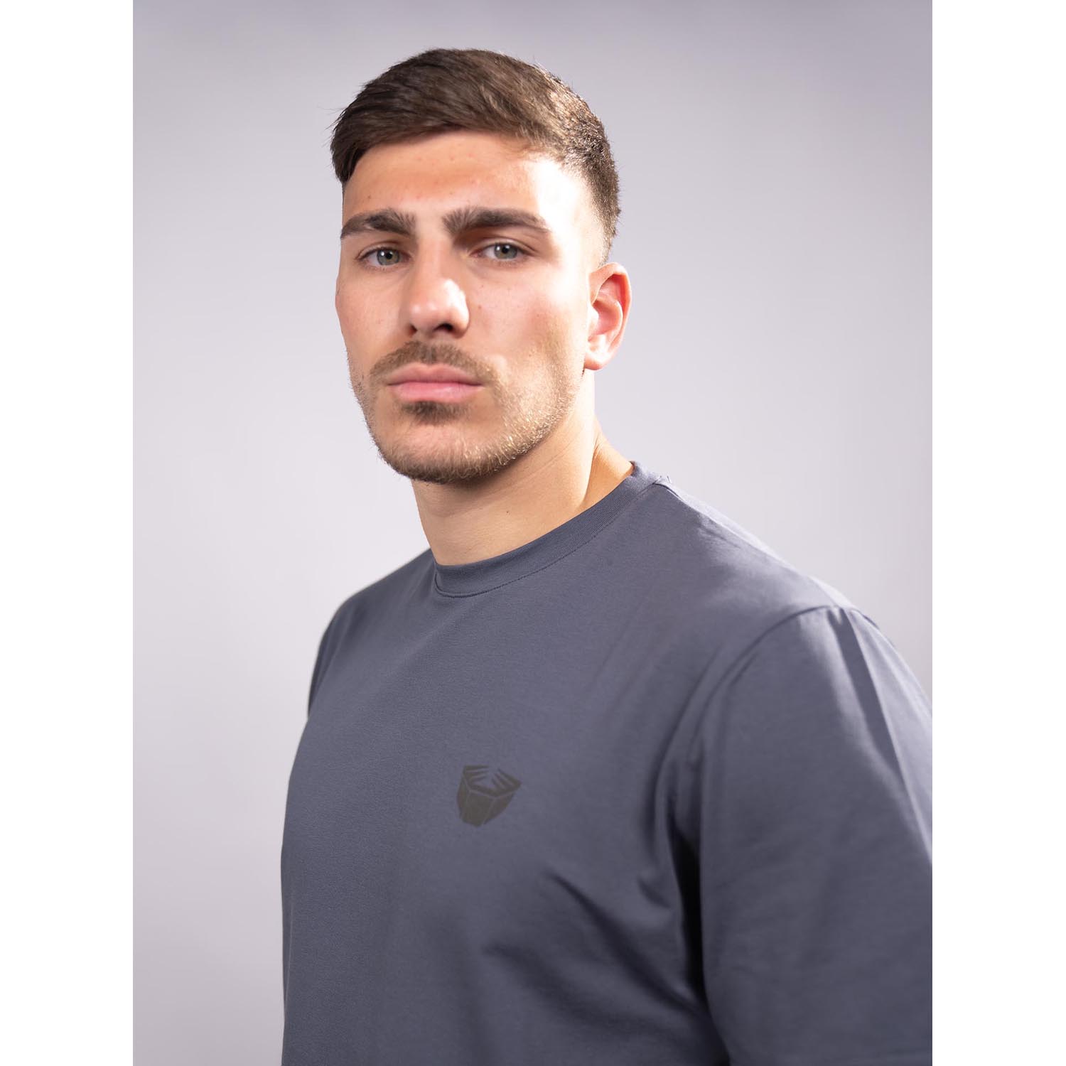 RINGLIFE T-Shirt, Sparring Division, grey, XXL