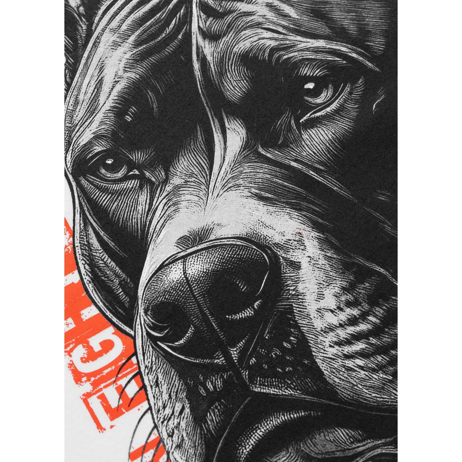 Pit Bull West Coast T-Shirt, Blacky, white-orange, XXXL