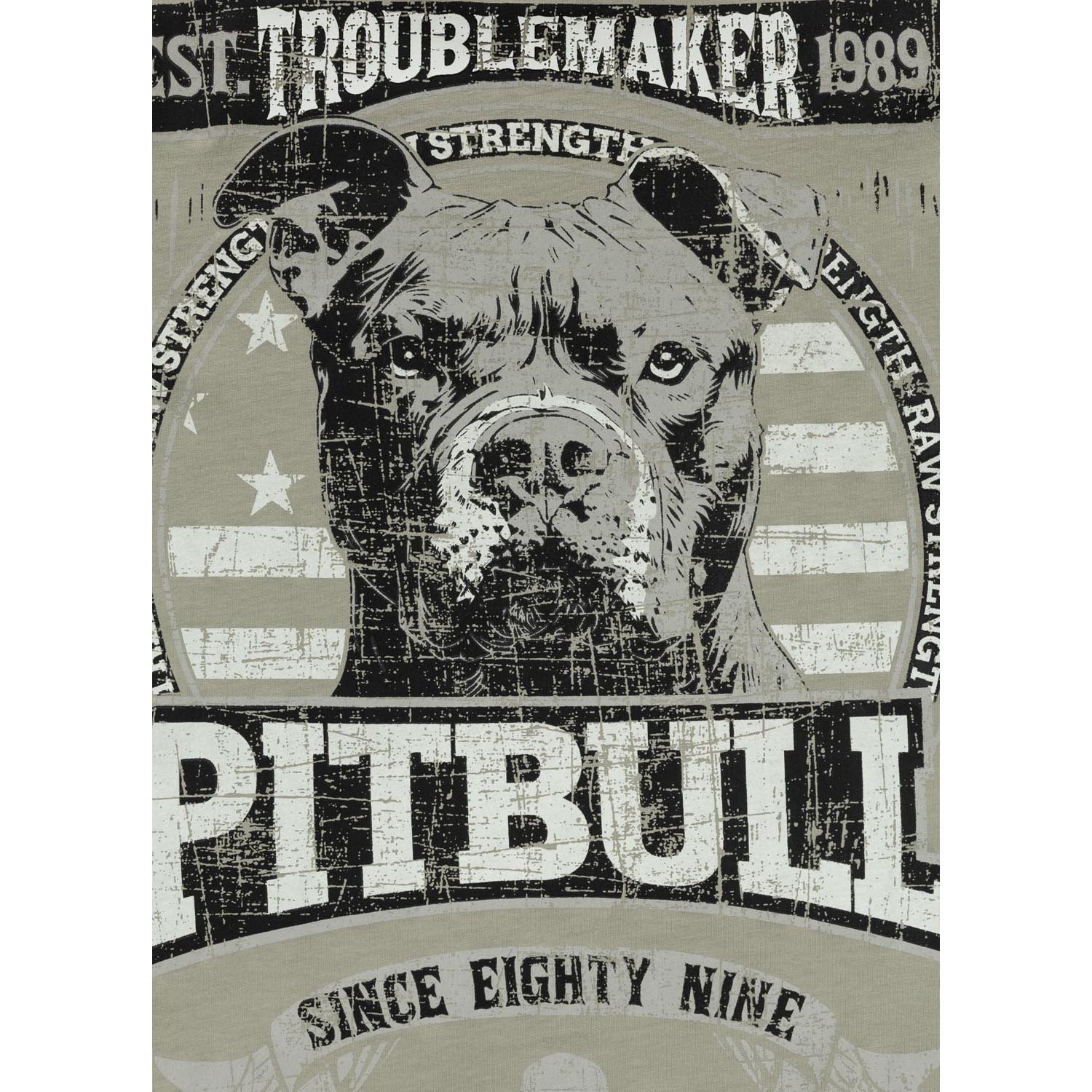 Pit Bull West Coast, T-Shirt, Troublemaker, grey, XXXL