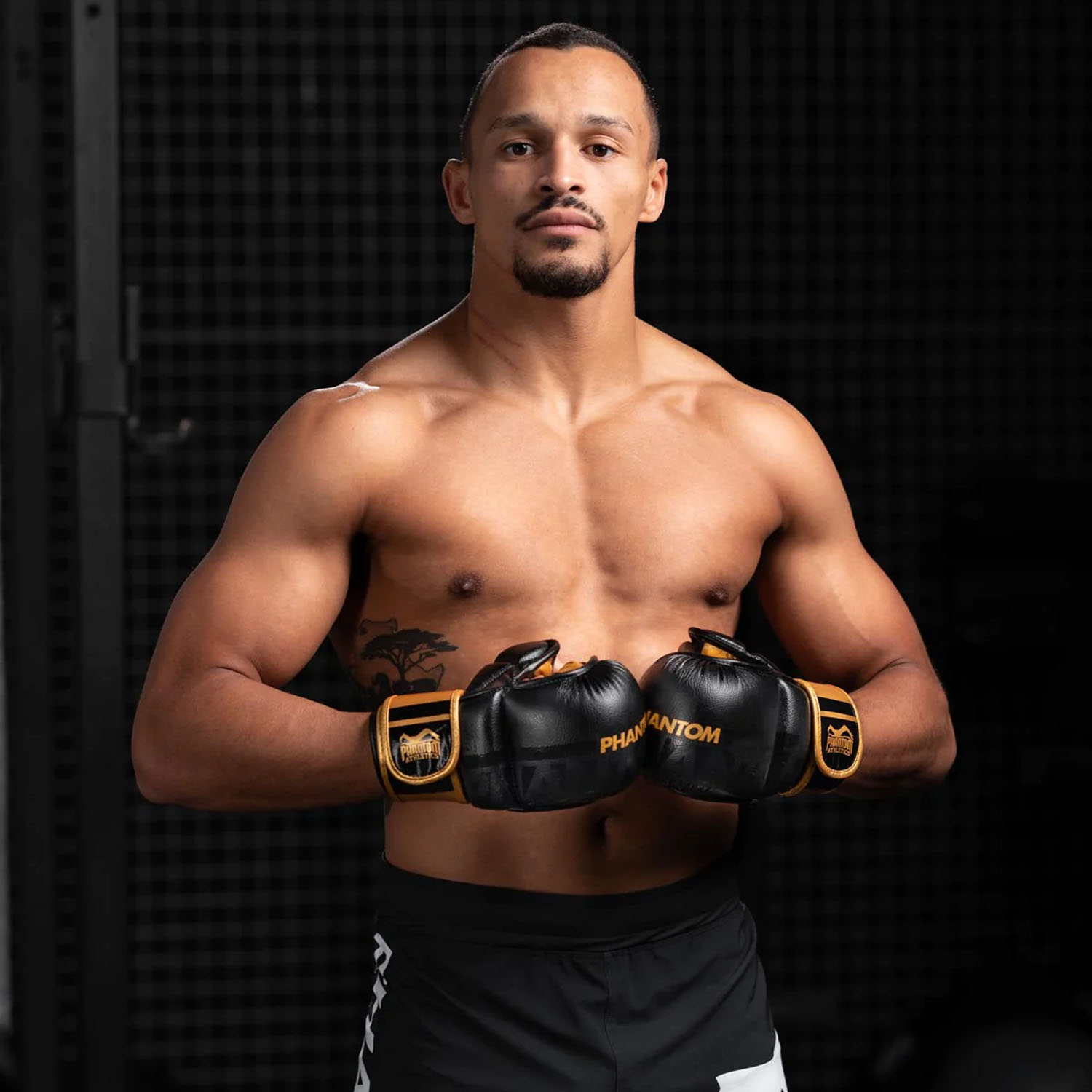 Phantom Athletics MMA Sparring Handschuhe, Apex, schwarz-gold, L/XL