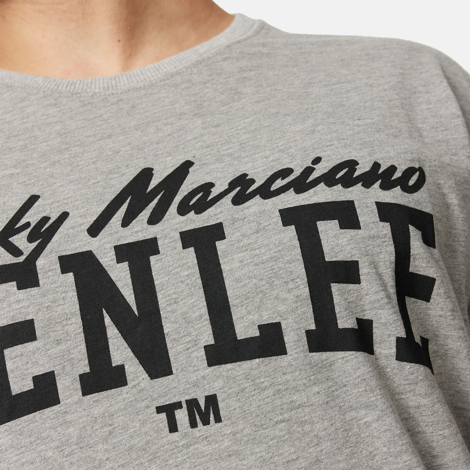 BENLEE T-Shirt, Donley, grey, XXXL