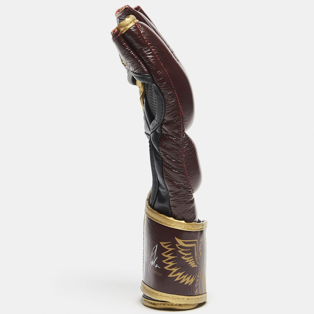 LEONE MMA Handschuhe, Legionarvis II, GP102, weinrot, XL