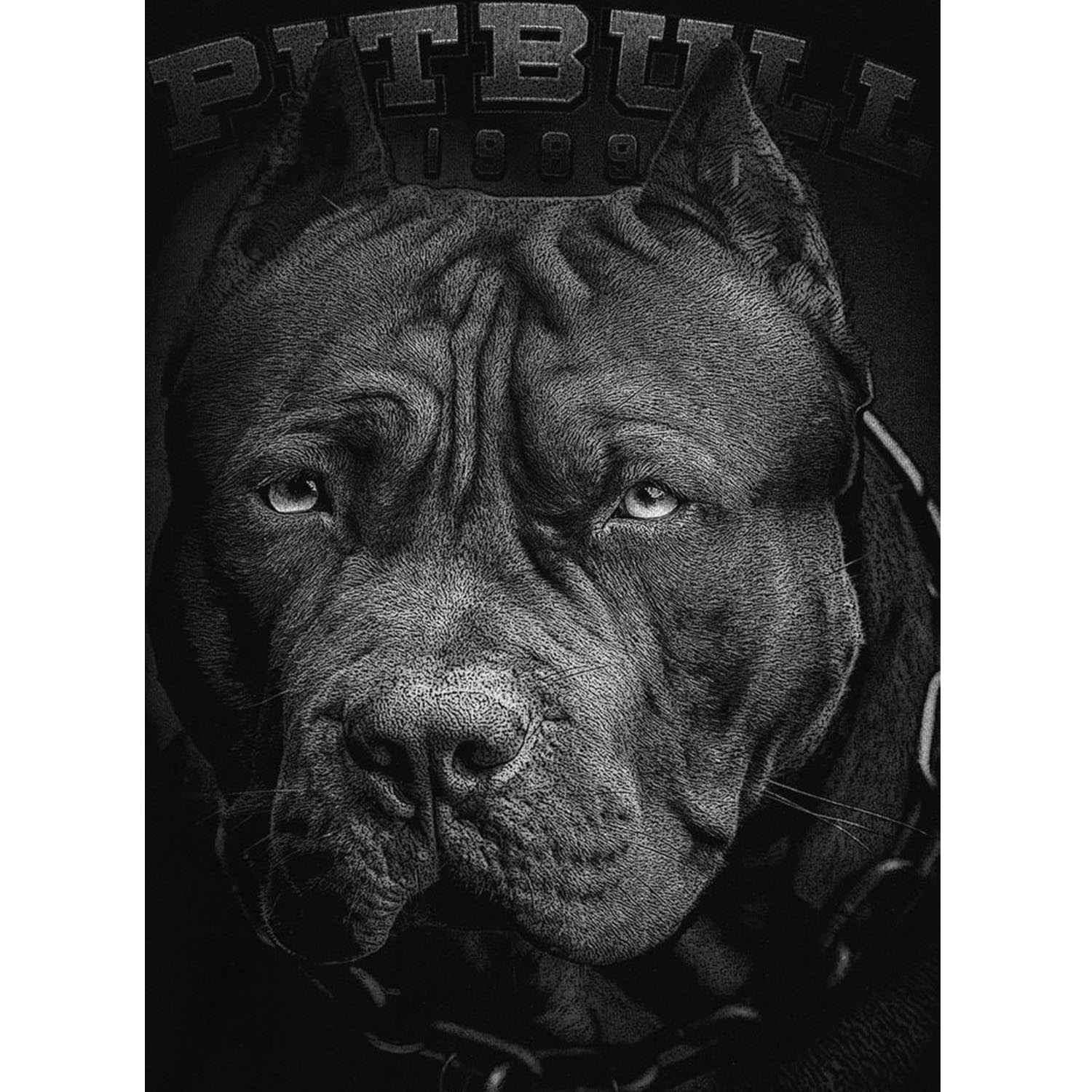 Pit Bull West Coast Hooded, Born In 1989, black, M