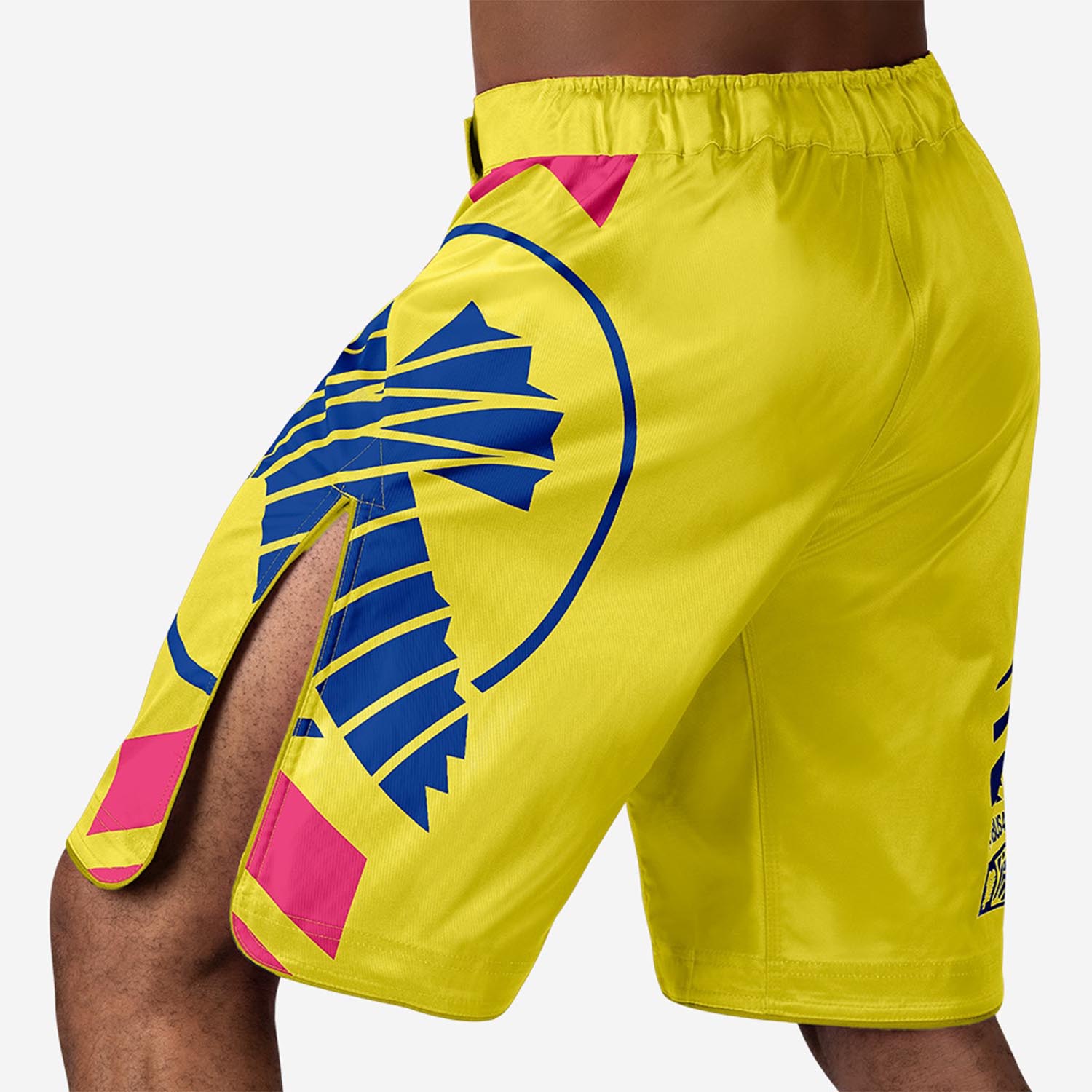 Hayabusa MMA Fight Shorts, Icon, gelb-blau, L