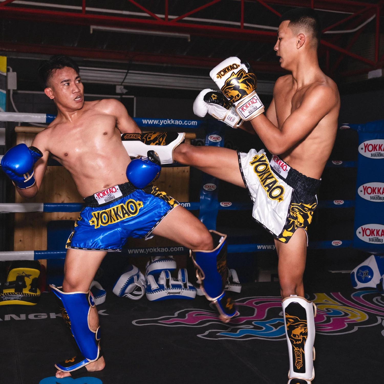YOKKAO Muay Thai Shorts, Original Gold, blue-yellow-black, XXL
