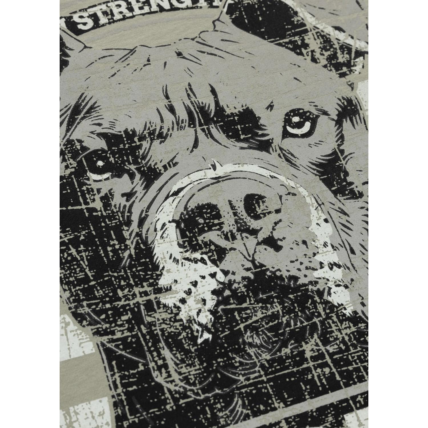Pit Bull West Coast, T-Shirt, Troublemaker, grey, XXXL