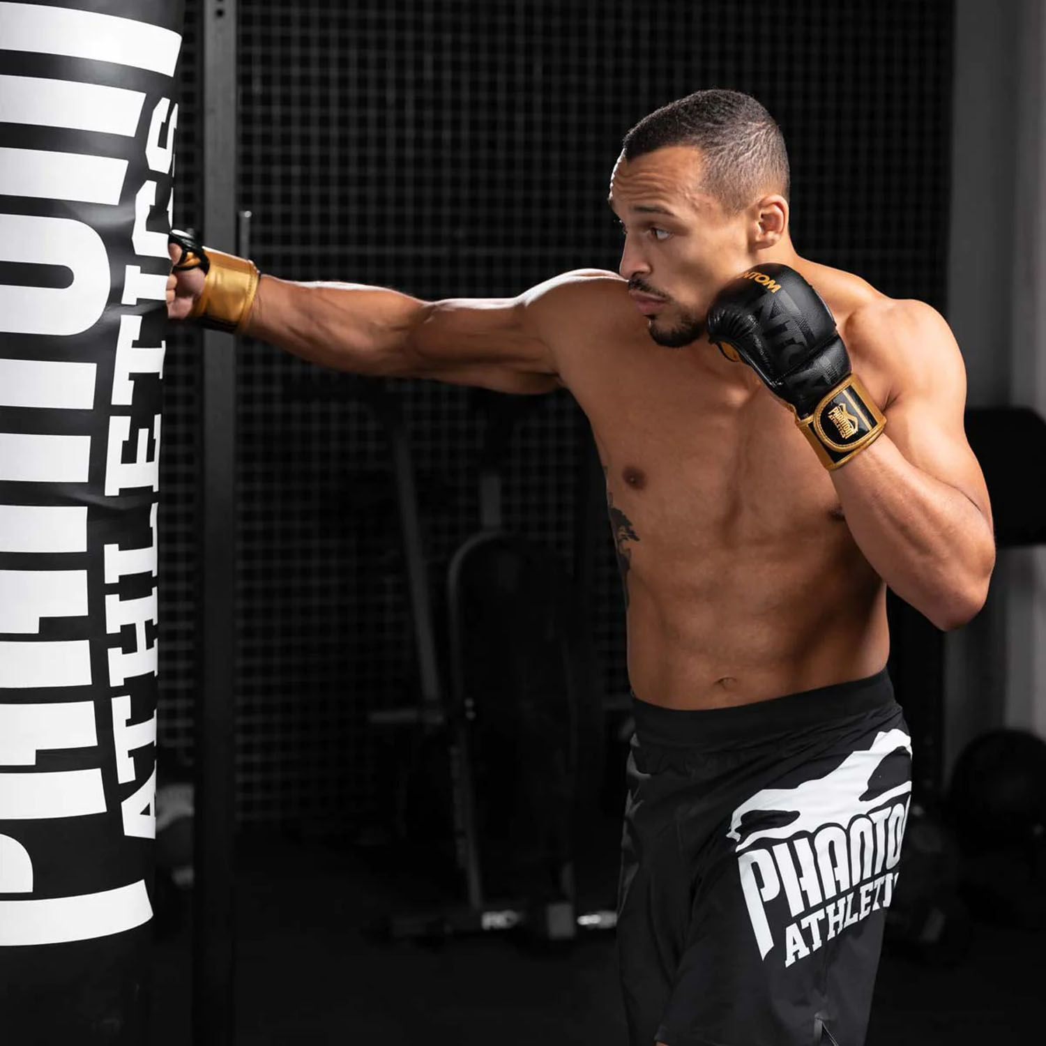 Phantom Athletics MMA Sparring Handschuhe, Apex, schwarz-gold, L/XL