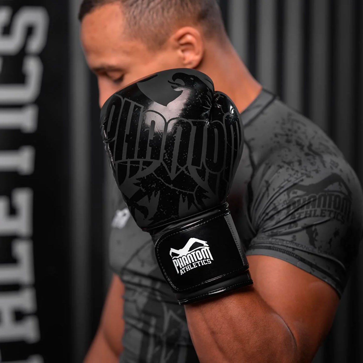 Phantom Athletics Boxing Gloves, German Eagle, black, 14 Oz