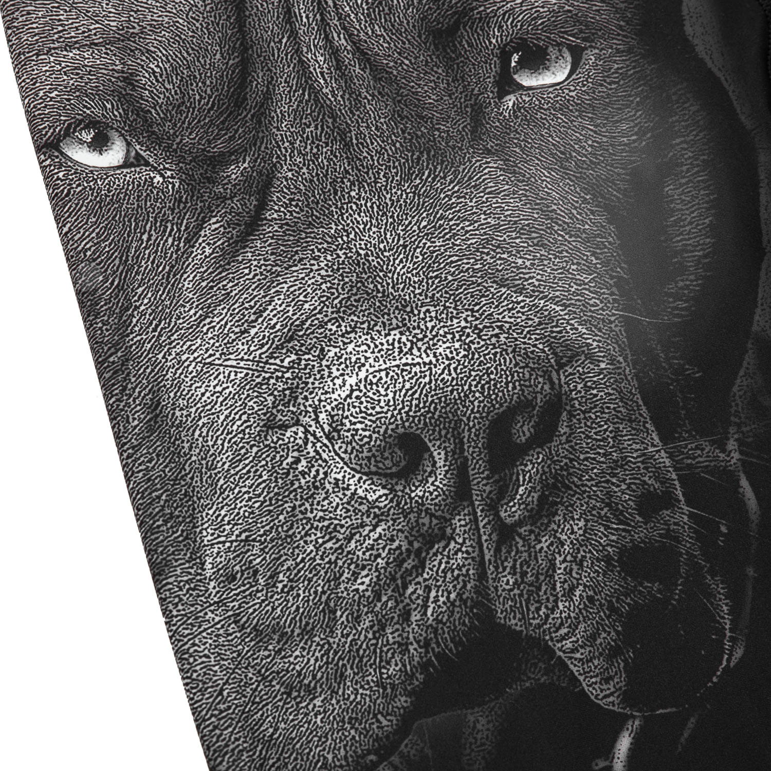 Pit Bull West Coast Compression Pants, Born In 1989, black, S
