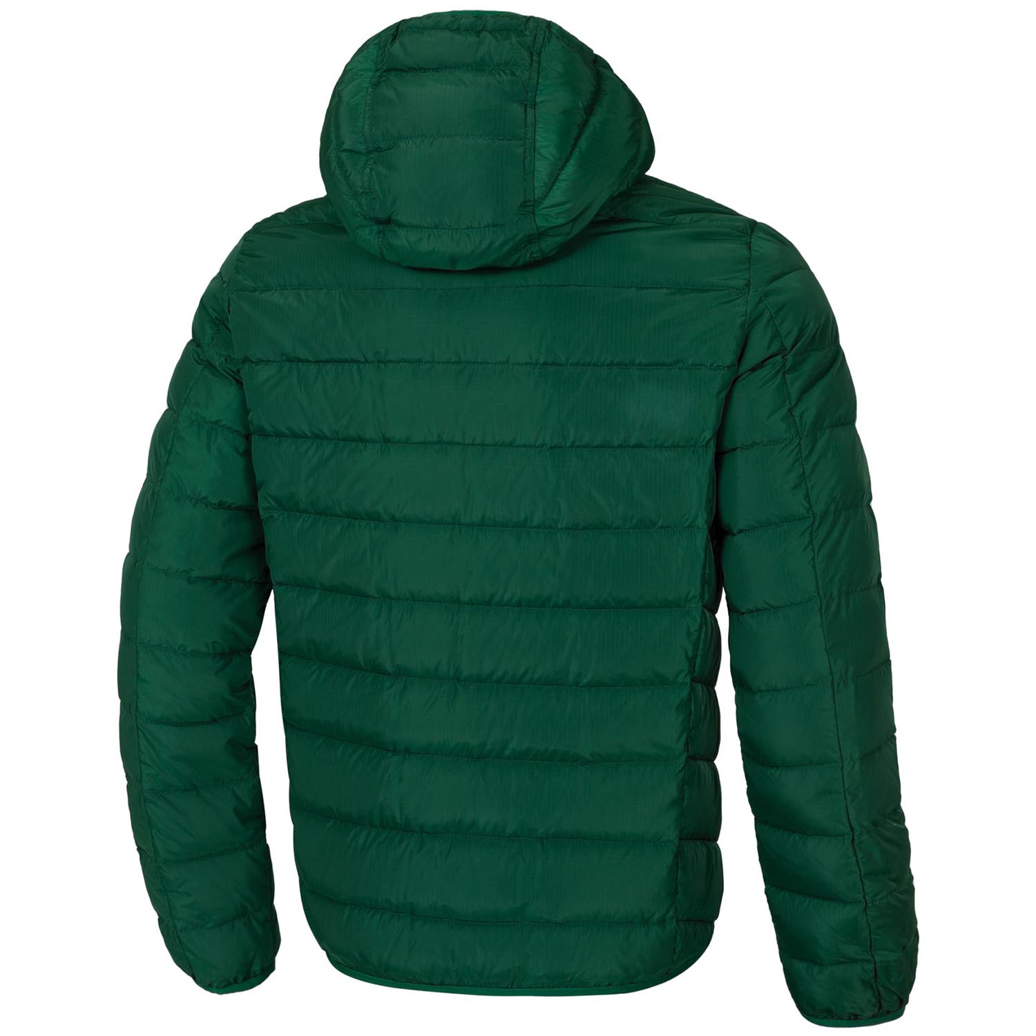 Pit Bull West Coast Jacket, Seacoast 3, dark green, XXXL