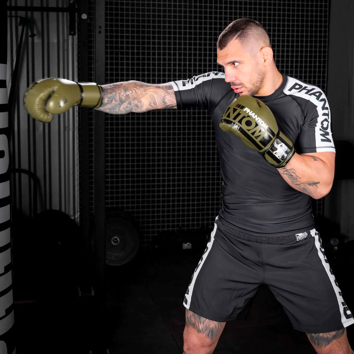 Phantom Athletics Boxing Gloves, Apex, khaki, 14 Oz