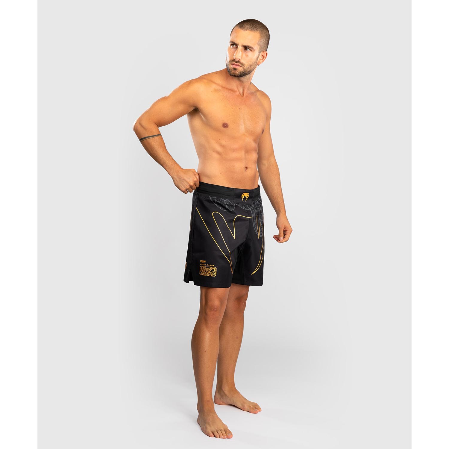 VENUM MMA Fight Shorts, Serpenti, black-silver-gold, XXL