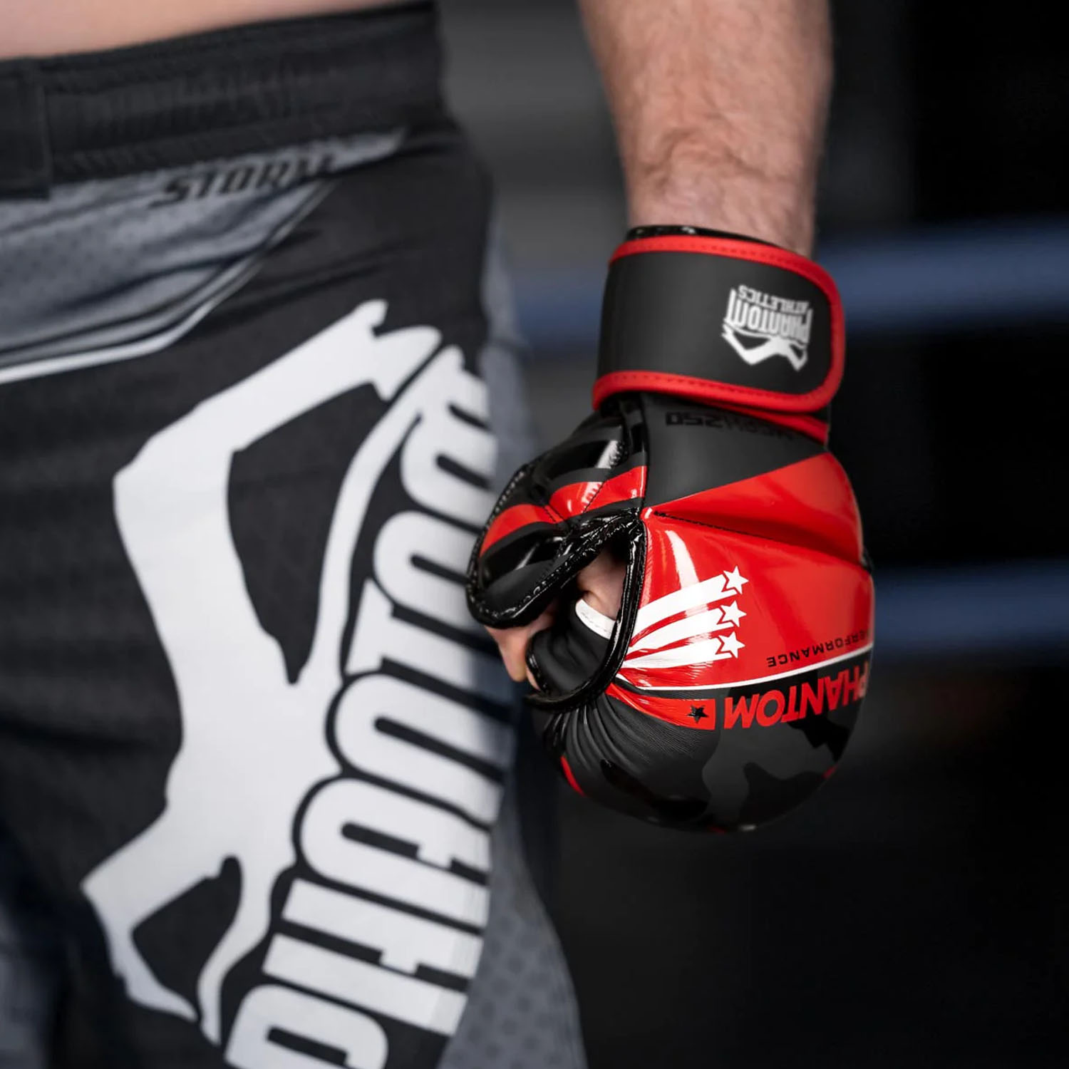 Phantom Athletics MMA Sparring Handschuhe, Raider, L/XL