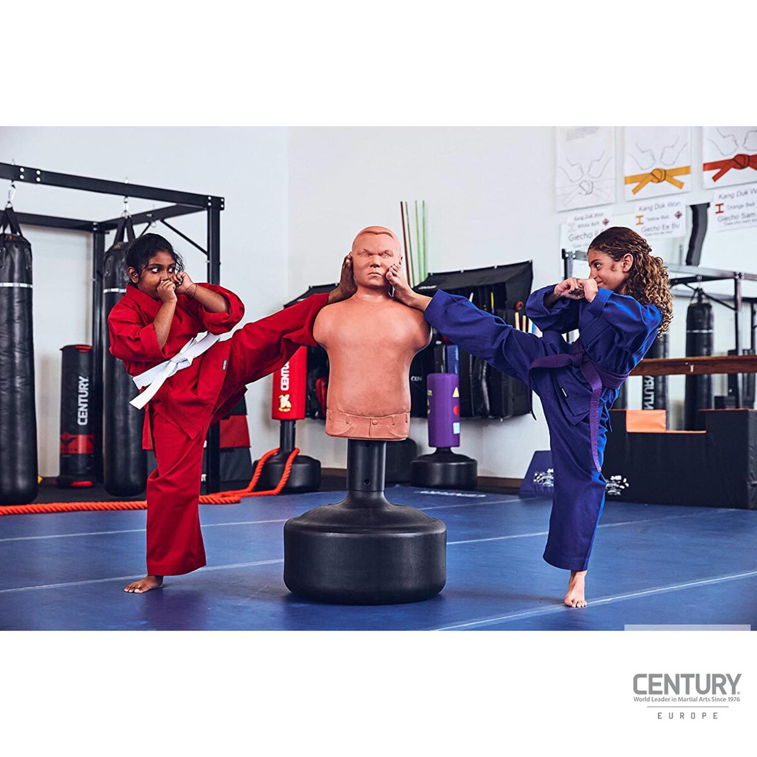 Century Standing Punching Bag, Bobby Bully