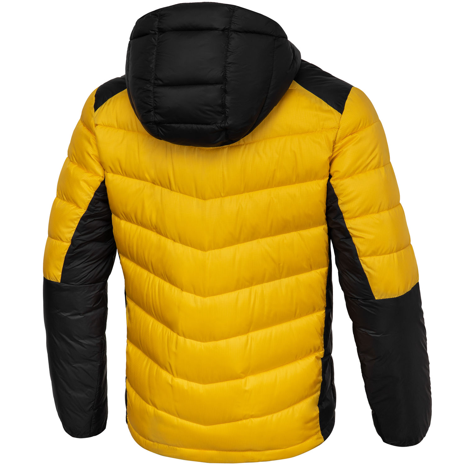 Pit Bull West Coast Jacke, Padded Hooded Evergolg, schwarz-gelb M