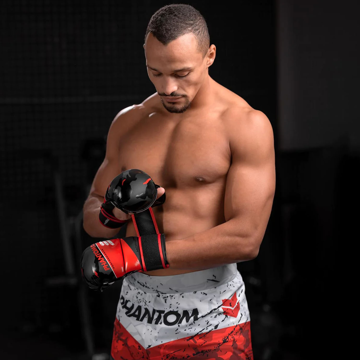 Phantom Athletics MMA Sparring Handschuhe, Raider, L/XL