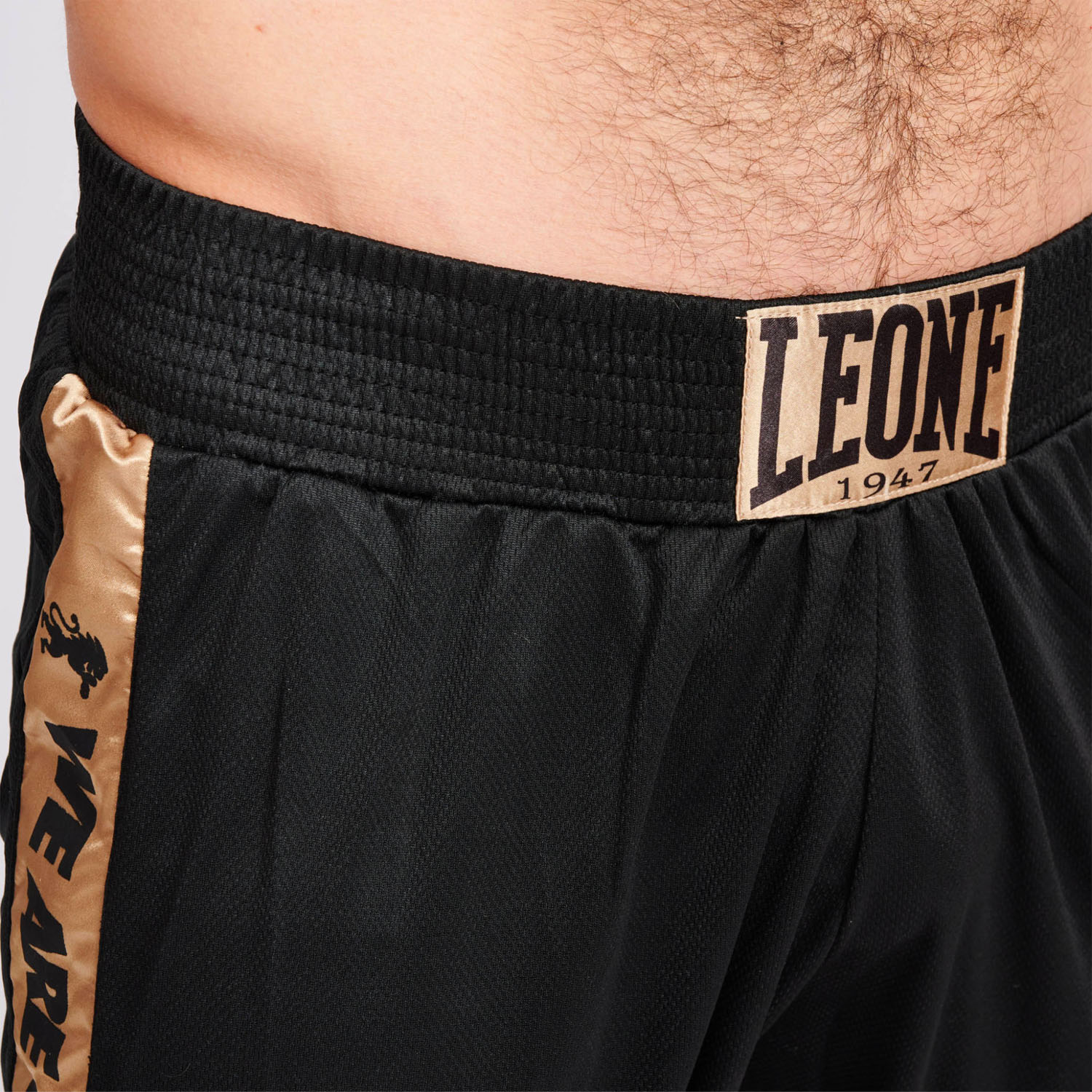 LEONE Box Pants, DNA, AB230, black-gold, XL