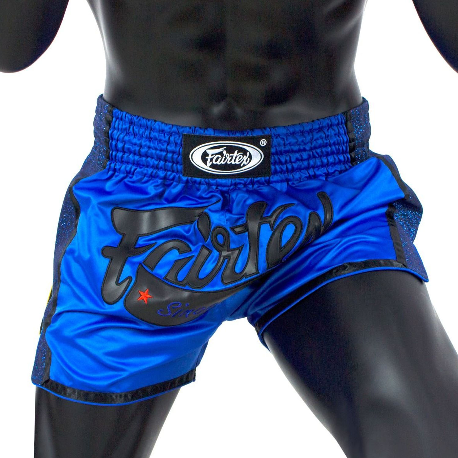 Fairtex Muay Thai Shorts, BS1702, blue, XL