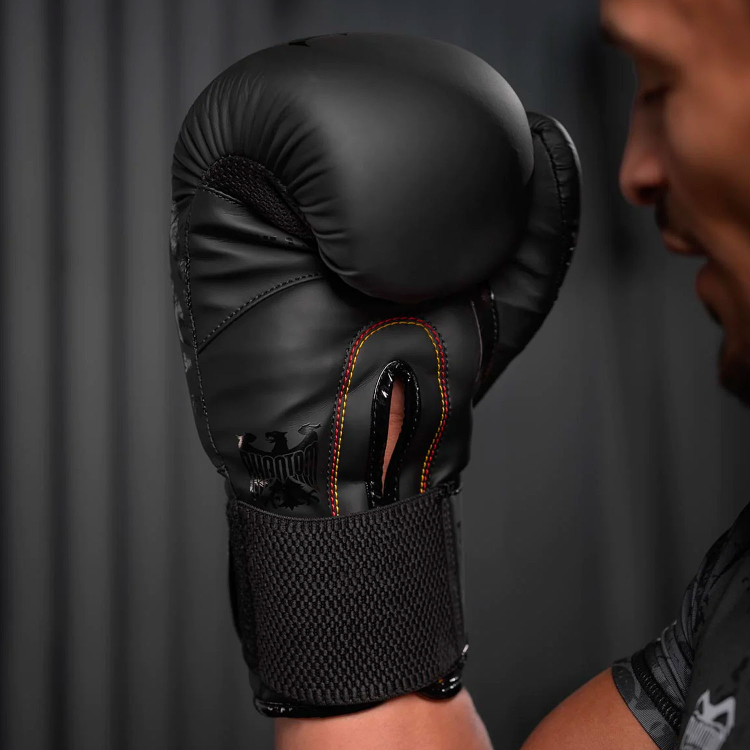 Phantom Athletics Boxing Gloves, German Eagle, black, 14 Oz