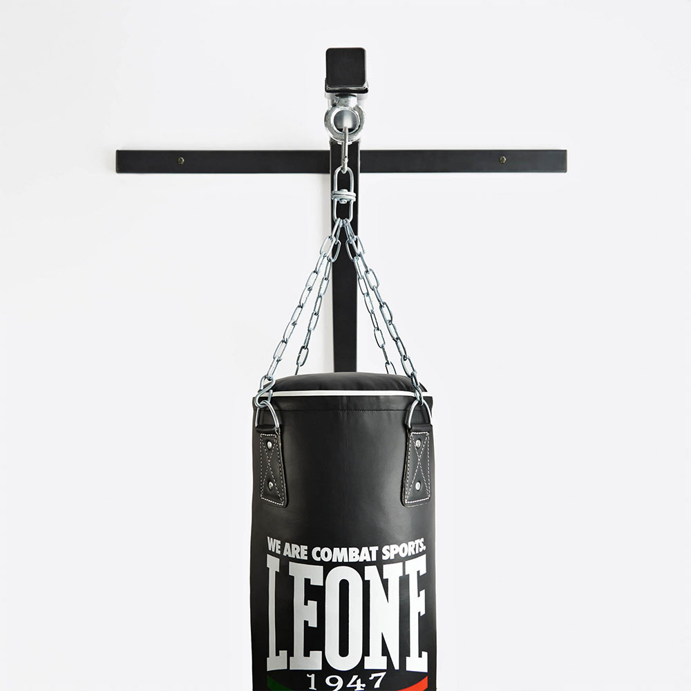 LEONE Wall Mount, AT700