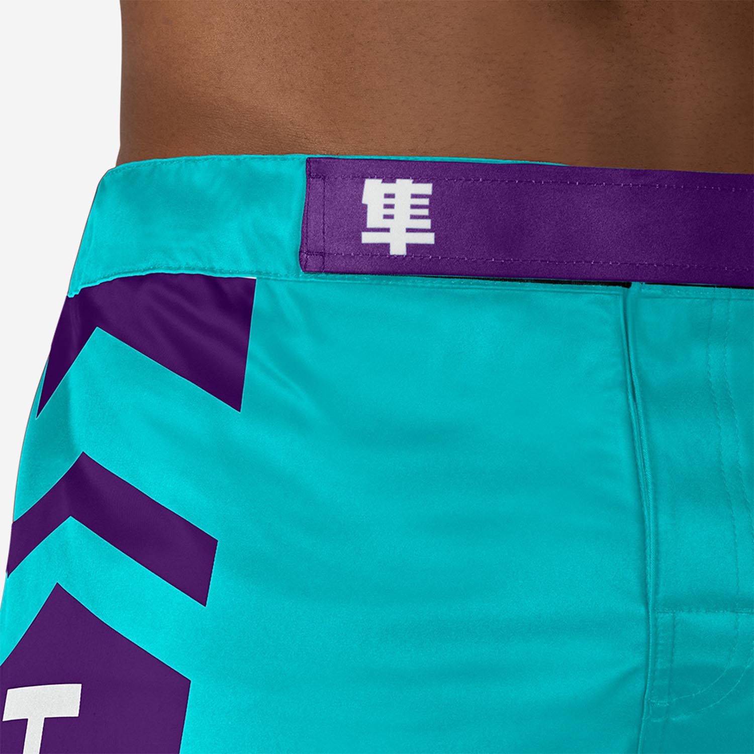 Hayabusa MMA Fight Shorts, Icon, türkis-lila, XXL