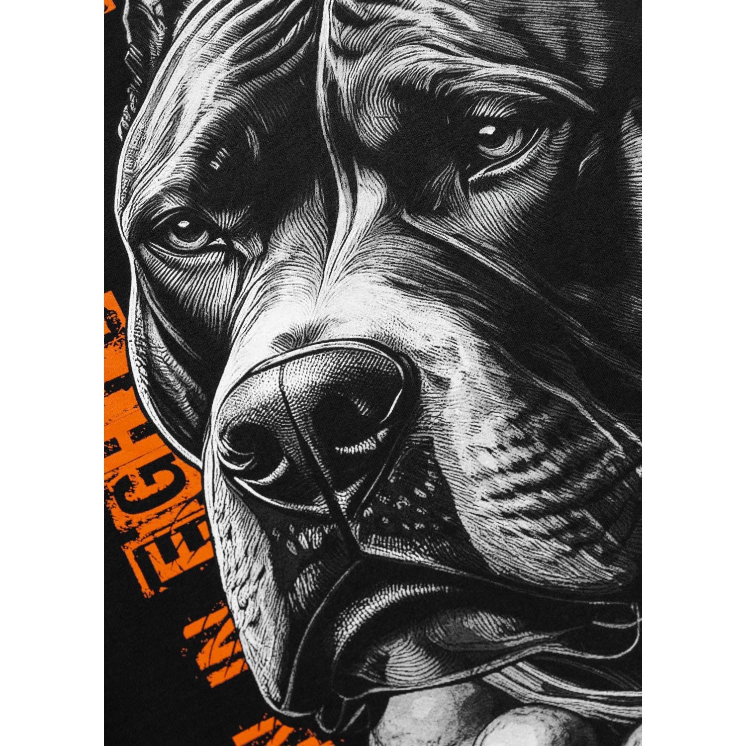 Pit Bull West Coast T-Shirt, Blacky, black-orange, XXXL