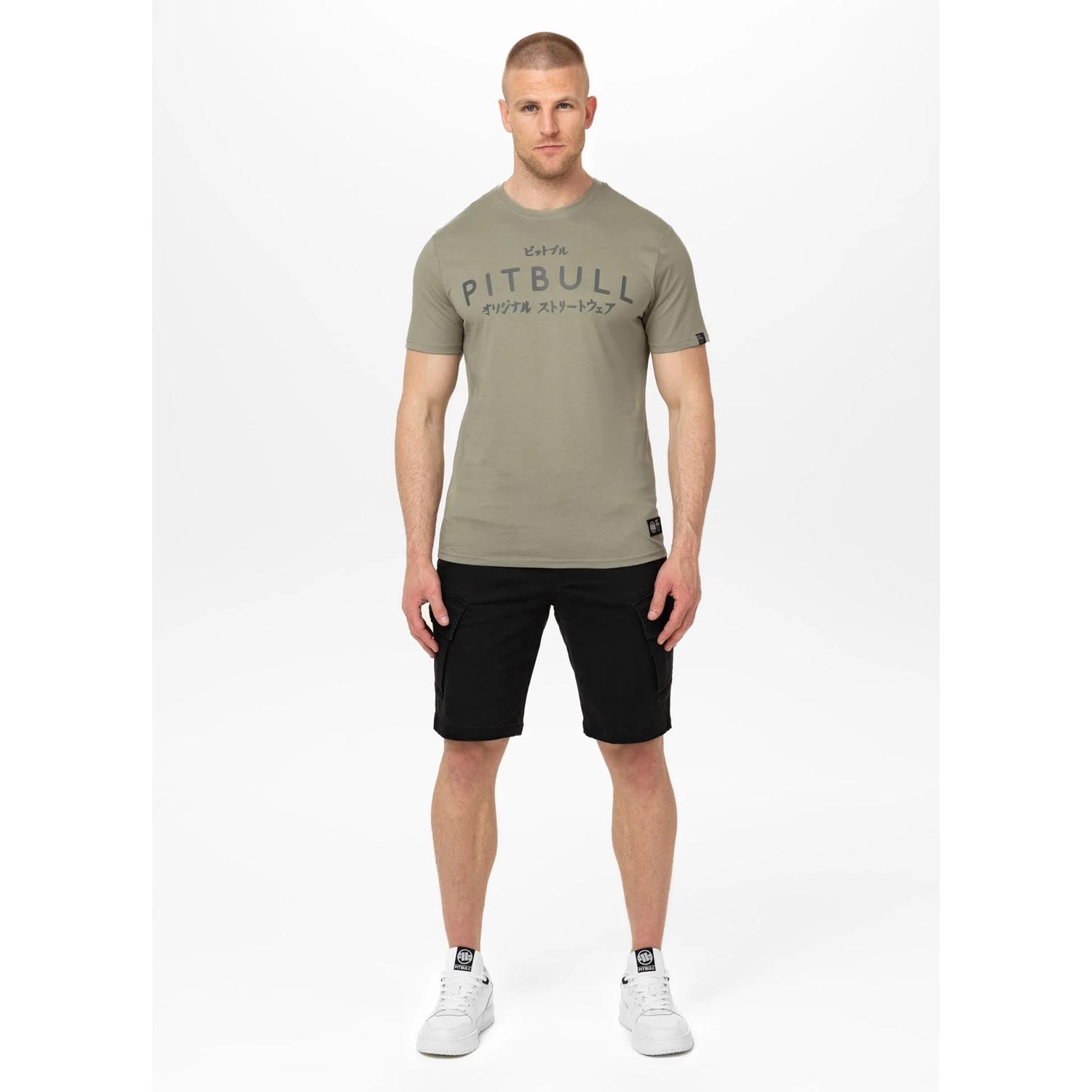 Pit Bull West Coast, T-Shirt, Mt. Fuji, beige, XXXL