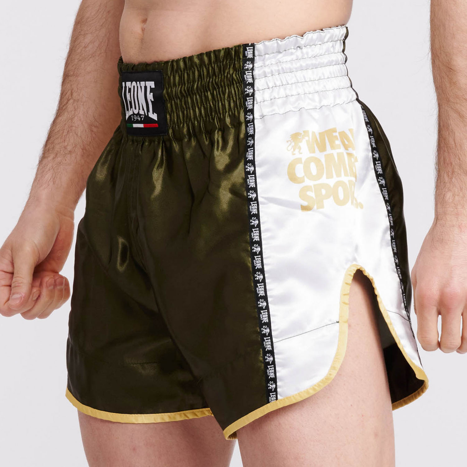 LEONE Muay Thai Shorts, Training, AB760, grün, XL